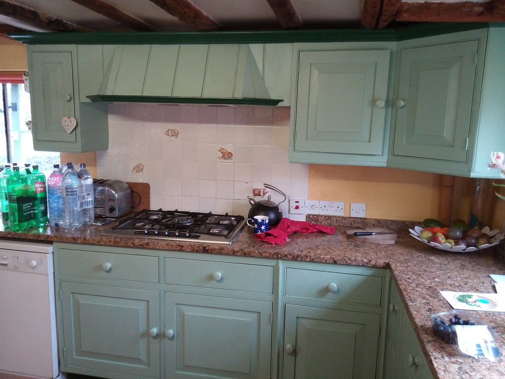 Painted Kitchen in Coggeshall